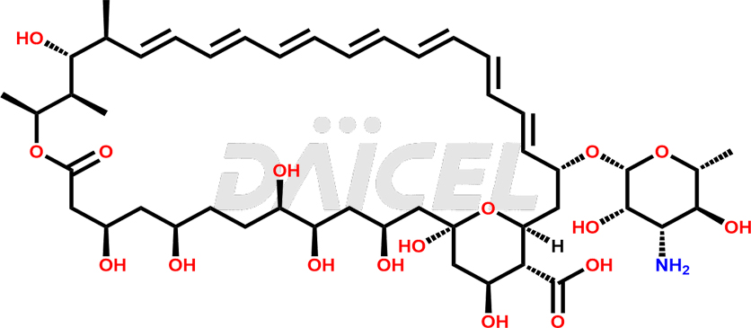 Amphotericin Structure and Mechanism of Action