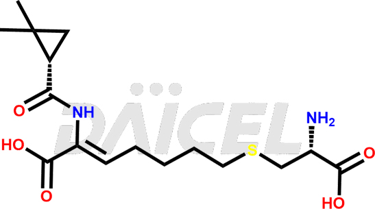 Cilastatin Structure and Mechanism of Action