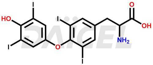 Levothyroxine Structure and Mechanism of Action